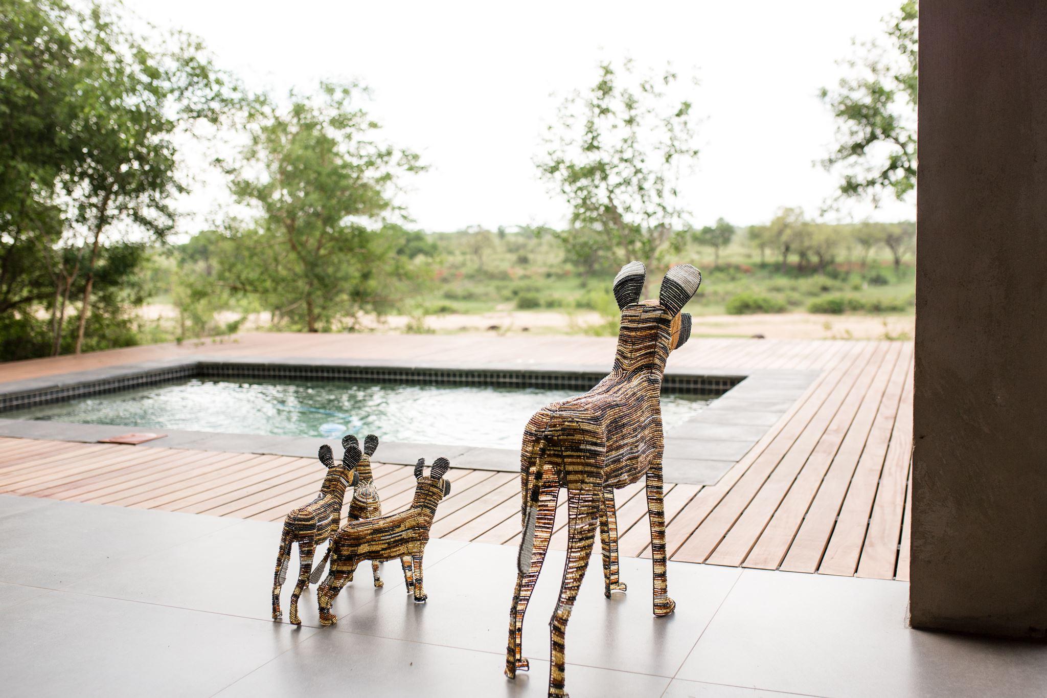 Ziziphus River Lodge