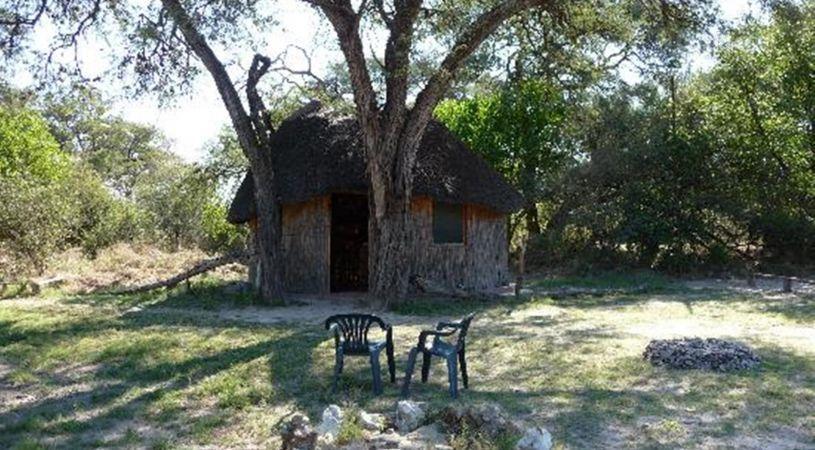 Kaziikini Campsite | Maun Hotels