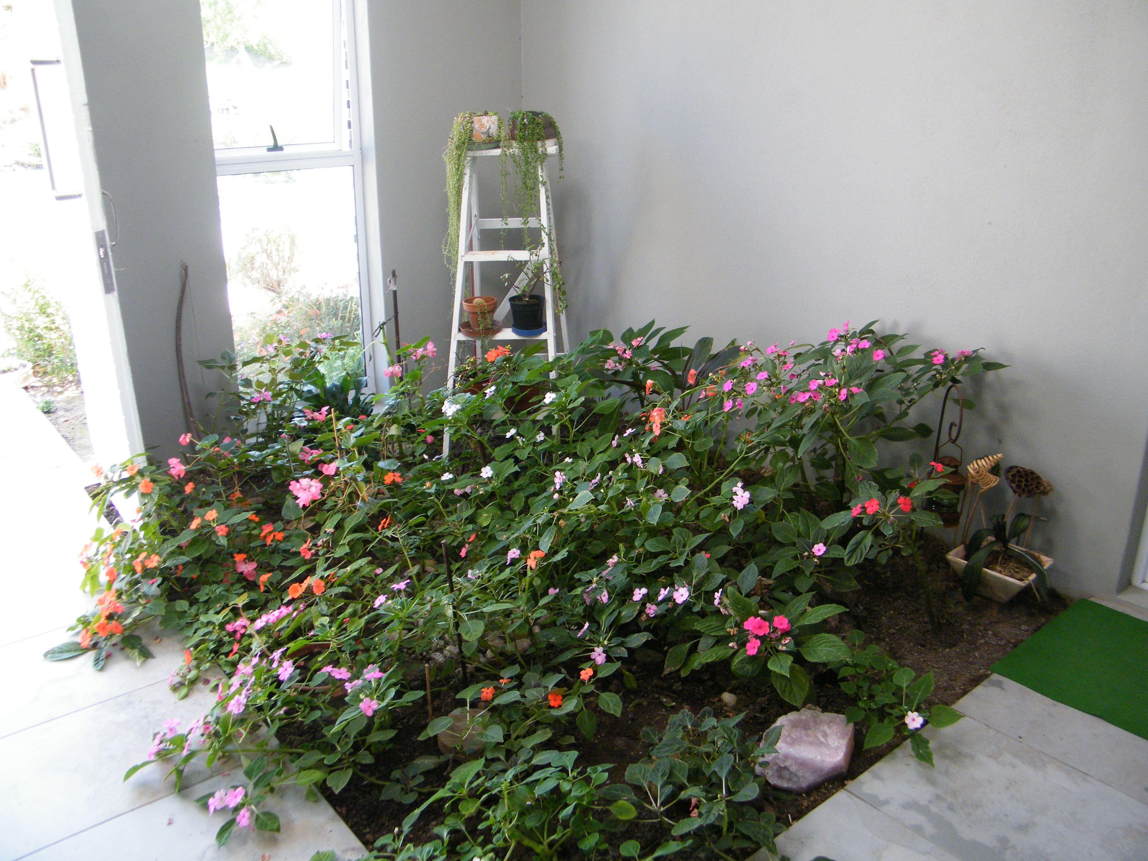 Loerie Annex Self-catering | Accommodation Herolds Bay