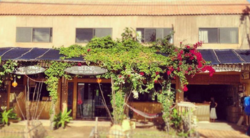 Timbuktu Guesthouse | Hotels Tofo Beach