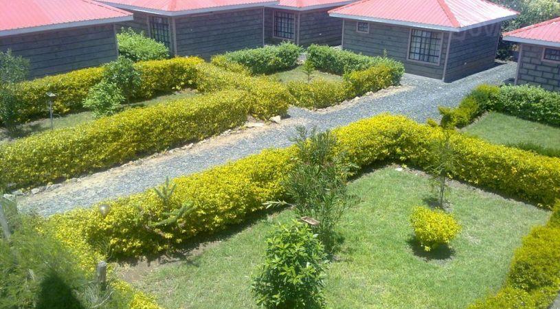 Queens Inn Nanyuki | Hotels Nanyuki