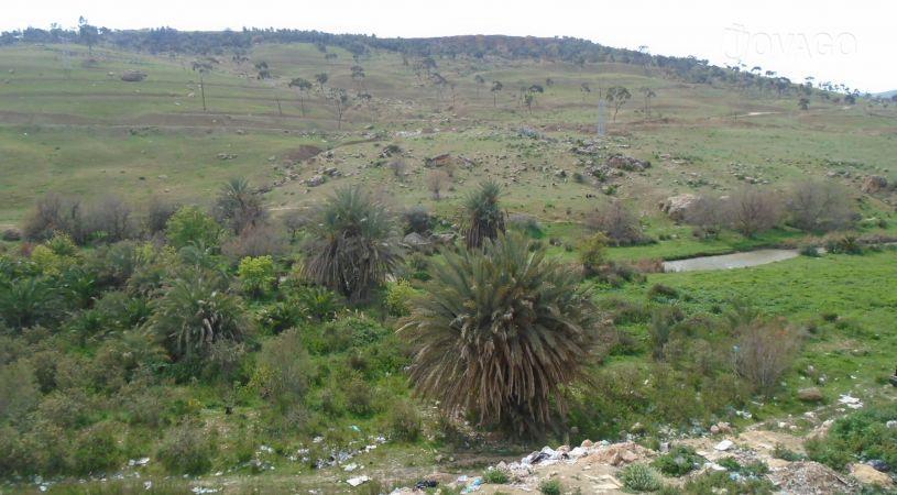 Dortoir Oulad Aiad | Accommodation Bou Hanifia