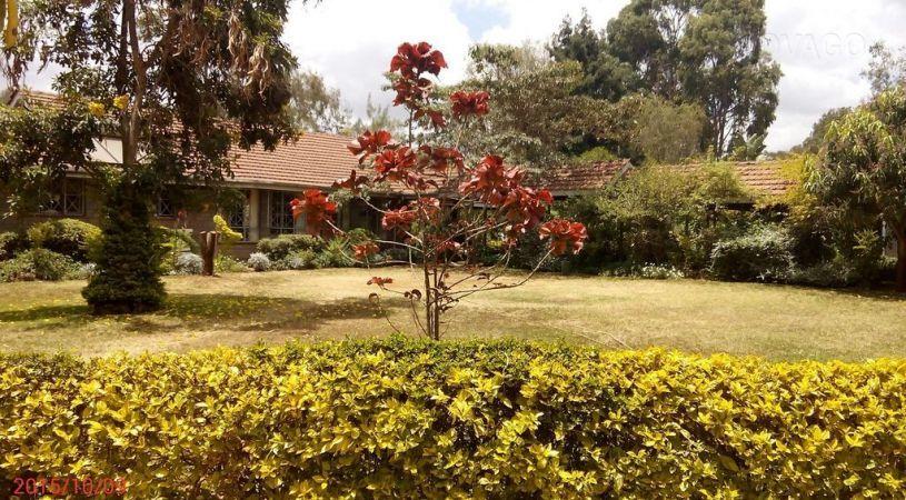 Corat Africa | Nairobi Hotels