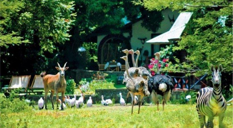 Mount Meru Game Lodge | Accommodation Meru