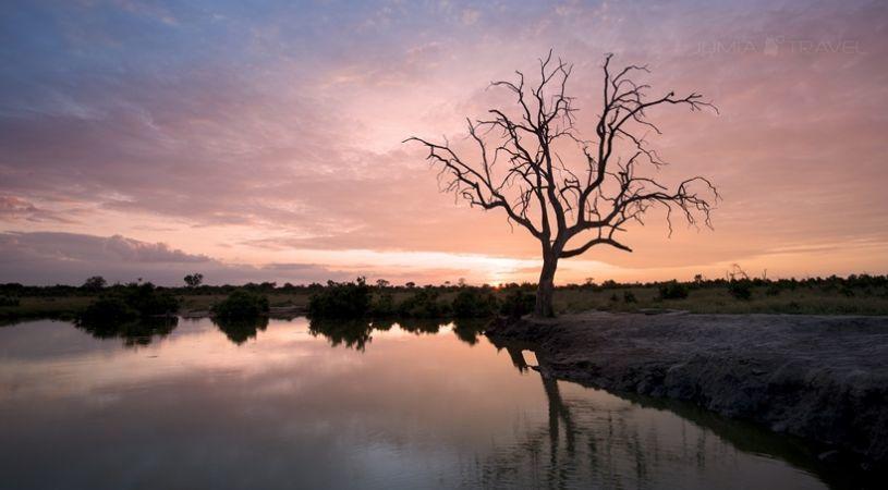 Somalisa Camp | Accommodation Zimbabwe