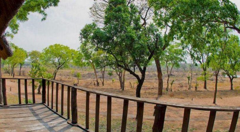Jafuta Lodge | Hwange Hotels