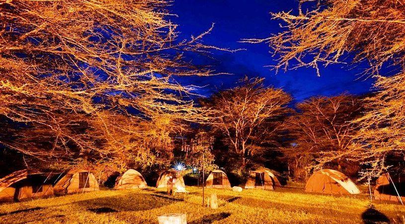 Burch's Resort