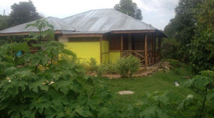 Gorilla Closeup Lodge | Bufumbira Accommodation
