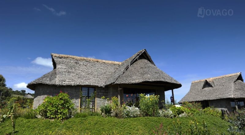 Rhino Watch Safari Lodge | Special Deals and Offers Book Now!