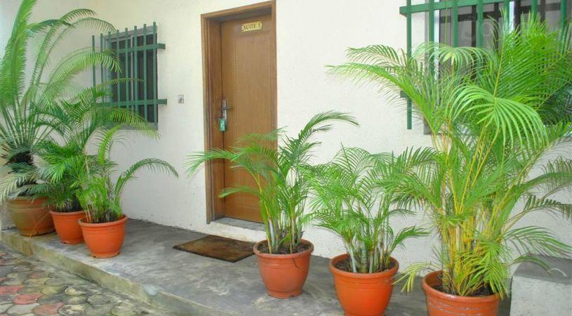 Green Villa Suites | Biogbolo Accommodation