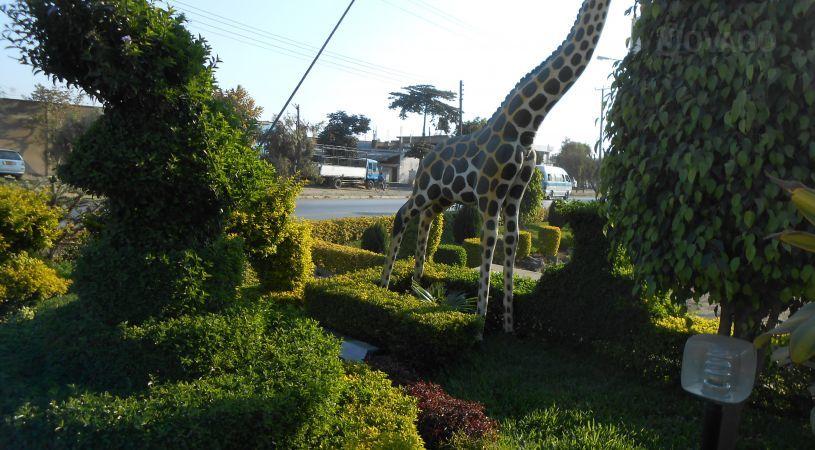 Mkulu Hotel | Mbeya Accommodation