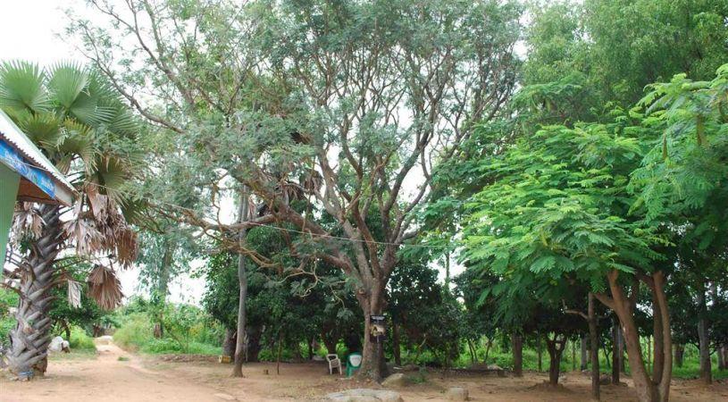 Boryom Hotel | Katsina Hotels