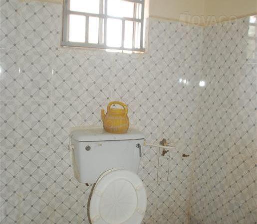 Rex Guest Inn | Samaru Accommodation