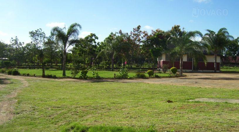 Ingwe Place Guest House | Accommodation Bulawayo