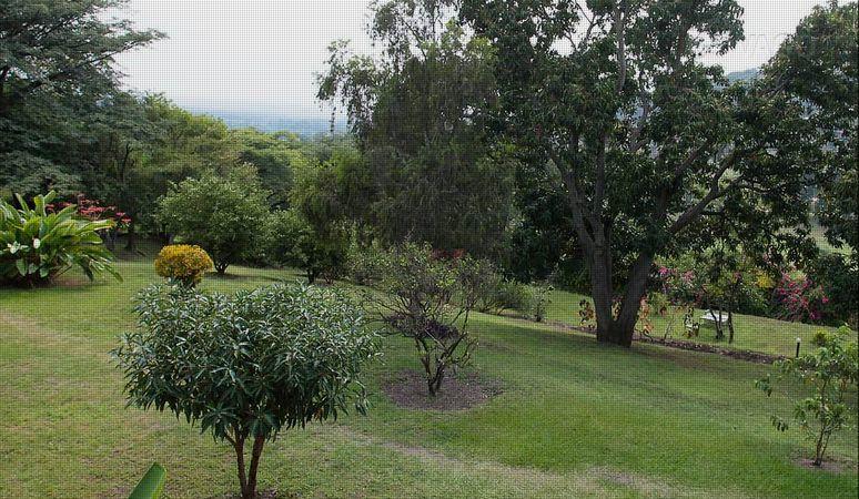 Margherita Hotel | Hotels Kasese