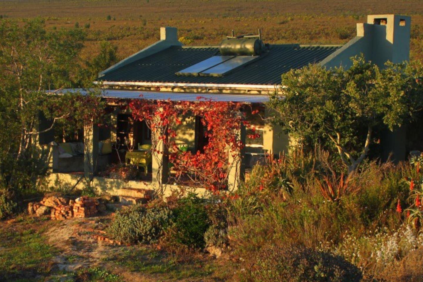 Vleiroos Cottage @ Sandberg Fynberg Reserve | Baardskeerdersbos Accommodation