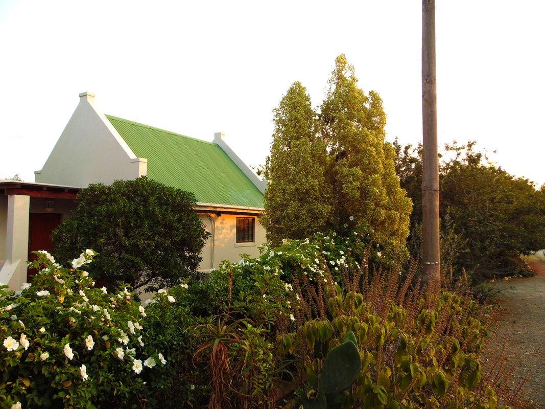 Summer House Self-Catering Guest House