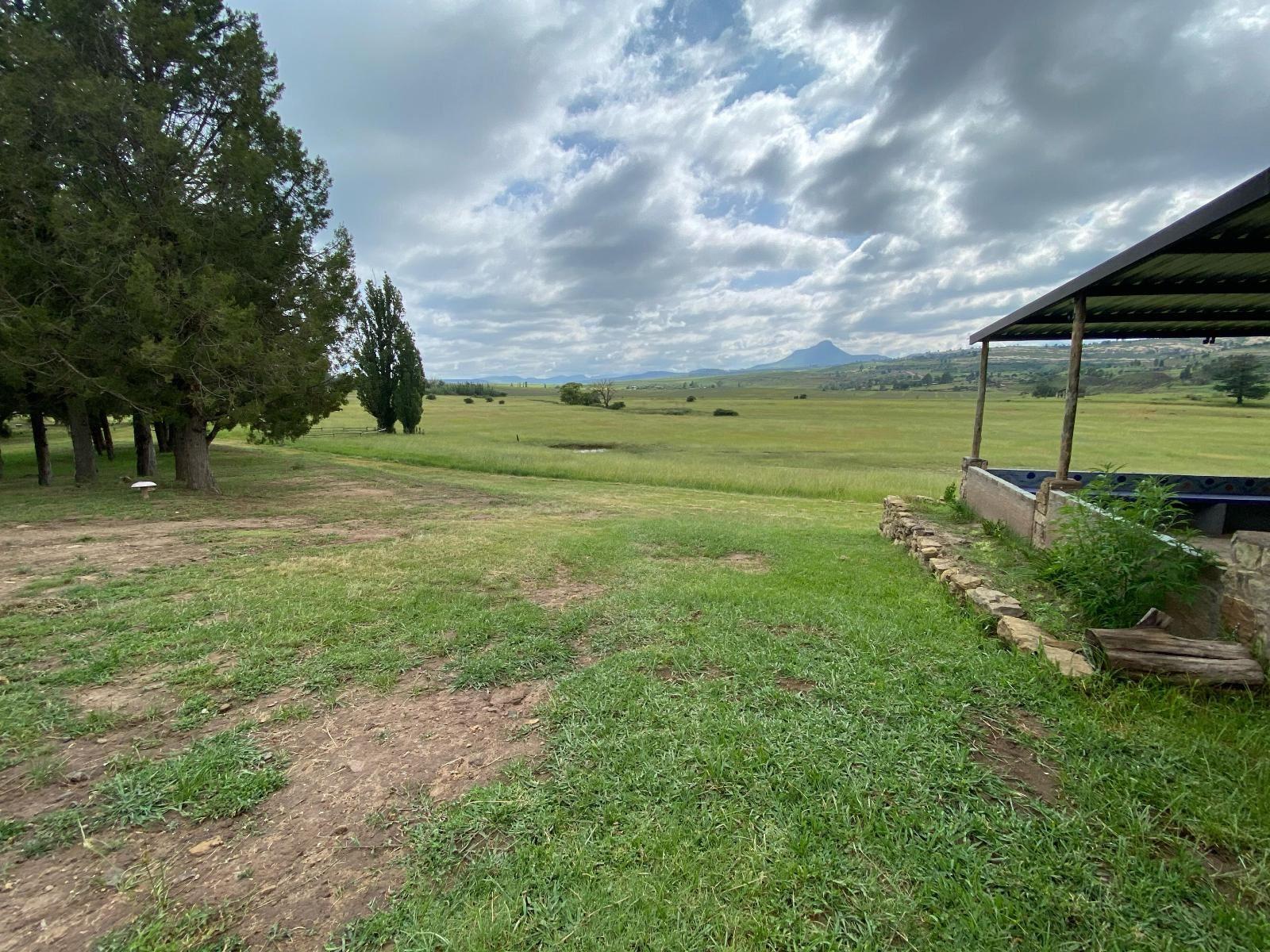Our Heartbeat Farm Stay