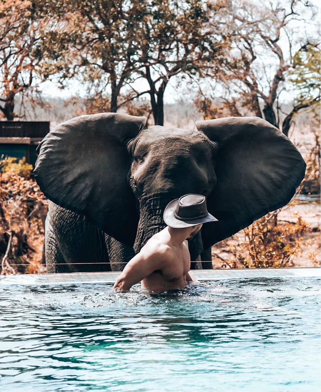 Honeyguide Tented Safari Camps – Mantobeni | Hotels Manyeleti Game Reserve