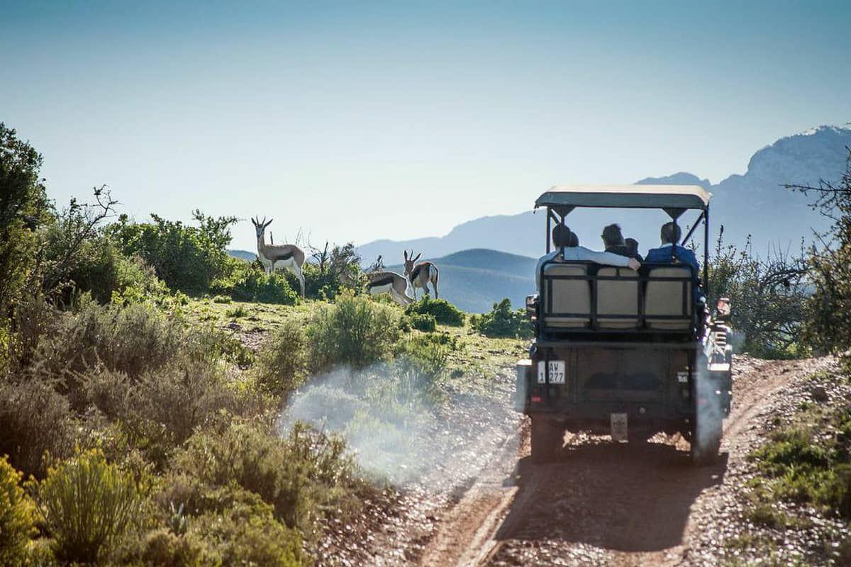 Pilanesberg Wildlife Safari DAY TOUR