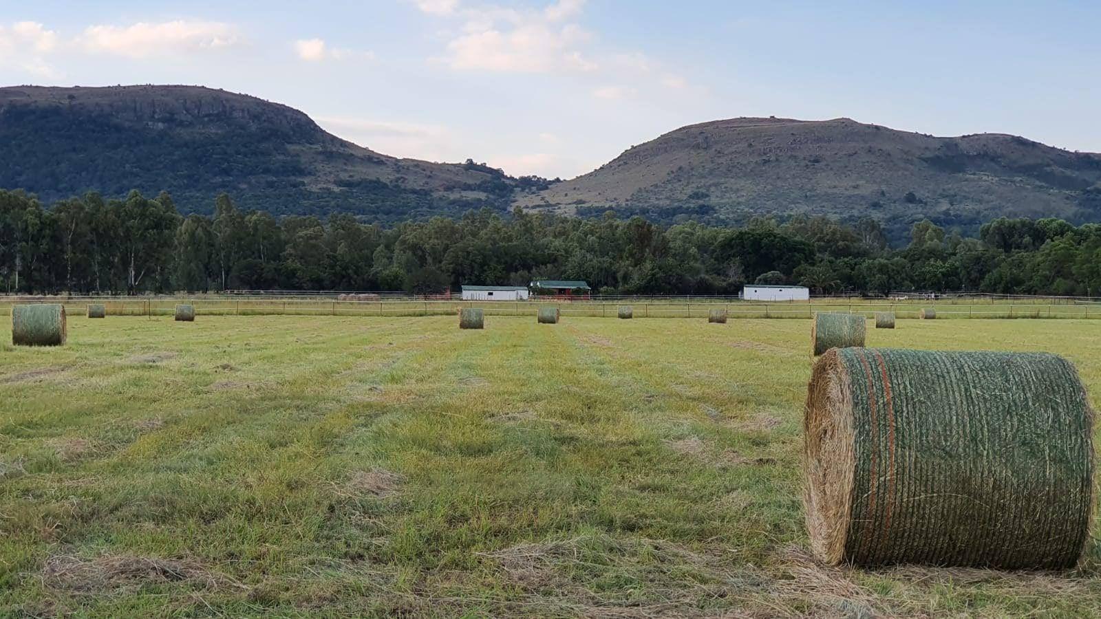 Landor Stud's Farm Cottage | Accommodation Maanhaarrand