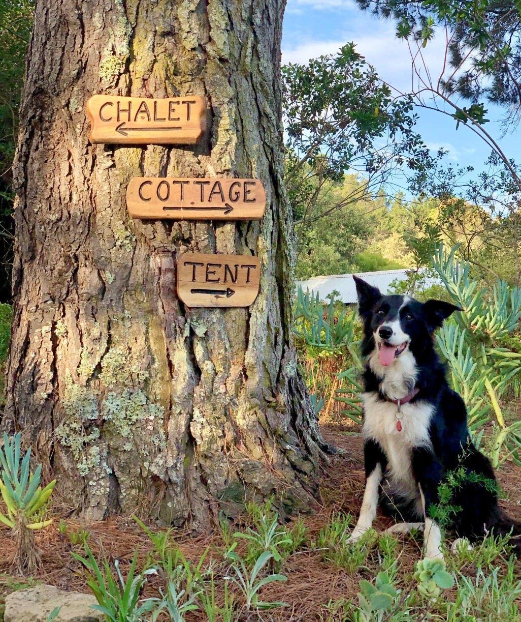 Eagles' Call Cottages & Tent | Wilderness Specials