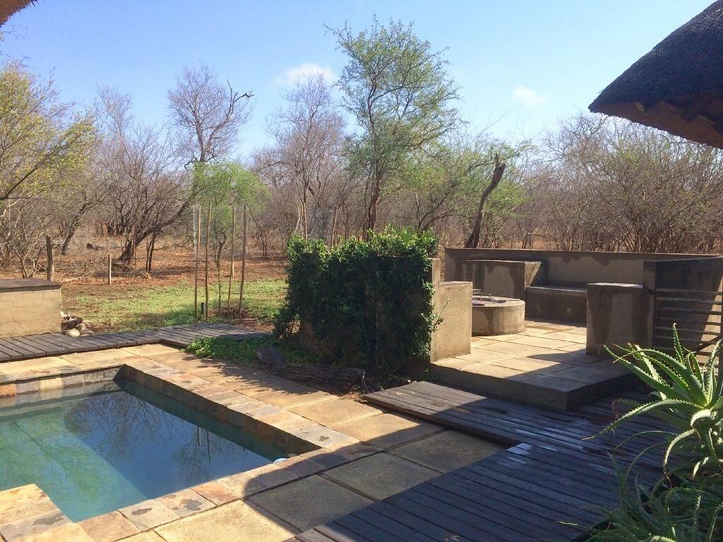 Bushwillow House | Accommodation Hoedspruit