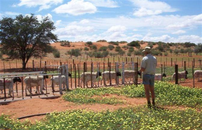 Terra Rouge | South Namibia Lodges
