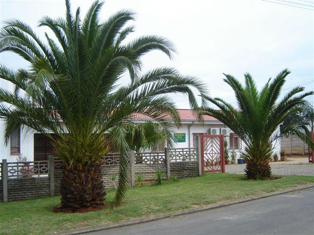 Arabian Nite Guest House | Piet Retief Accommodation