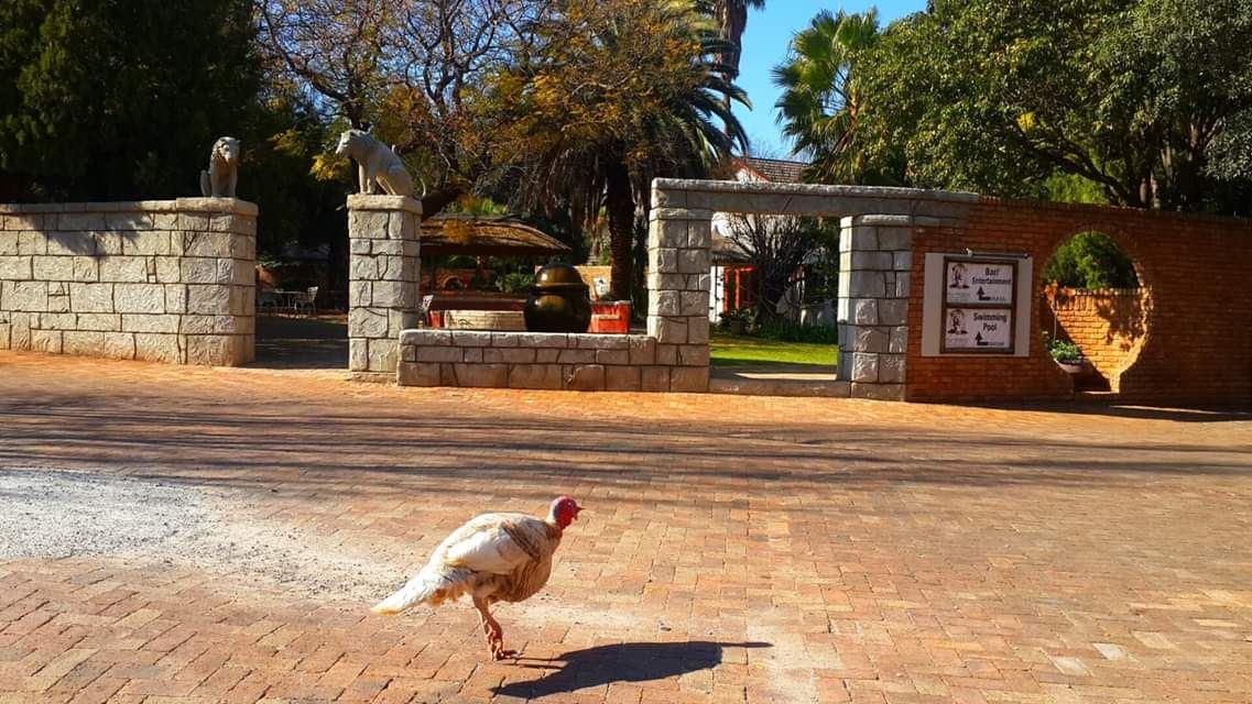 Kumkani Country Lodge | Potchefstroom Hotels