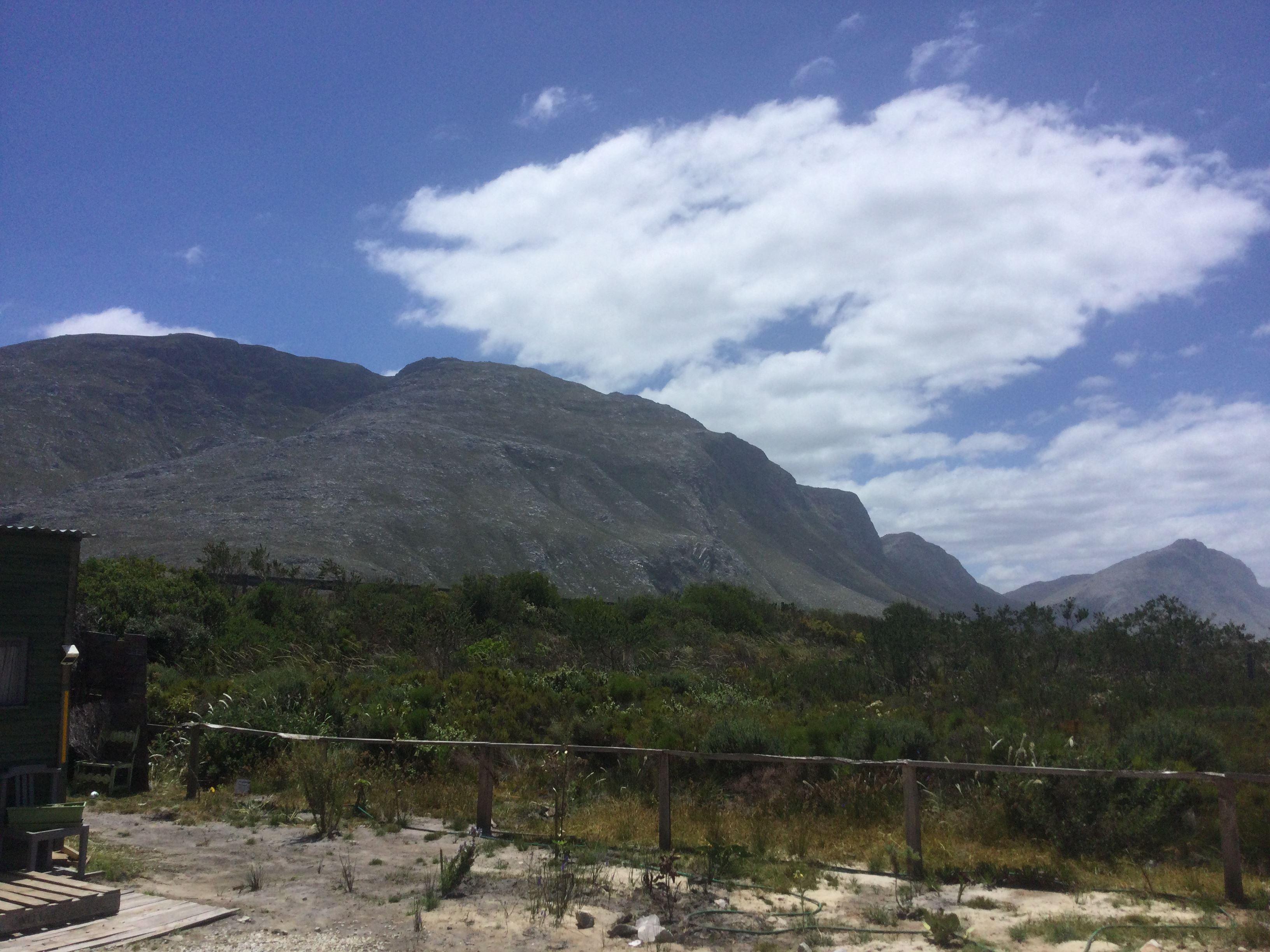 Mooiplekkie
