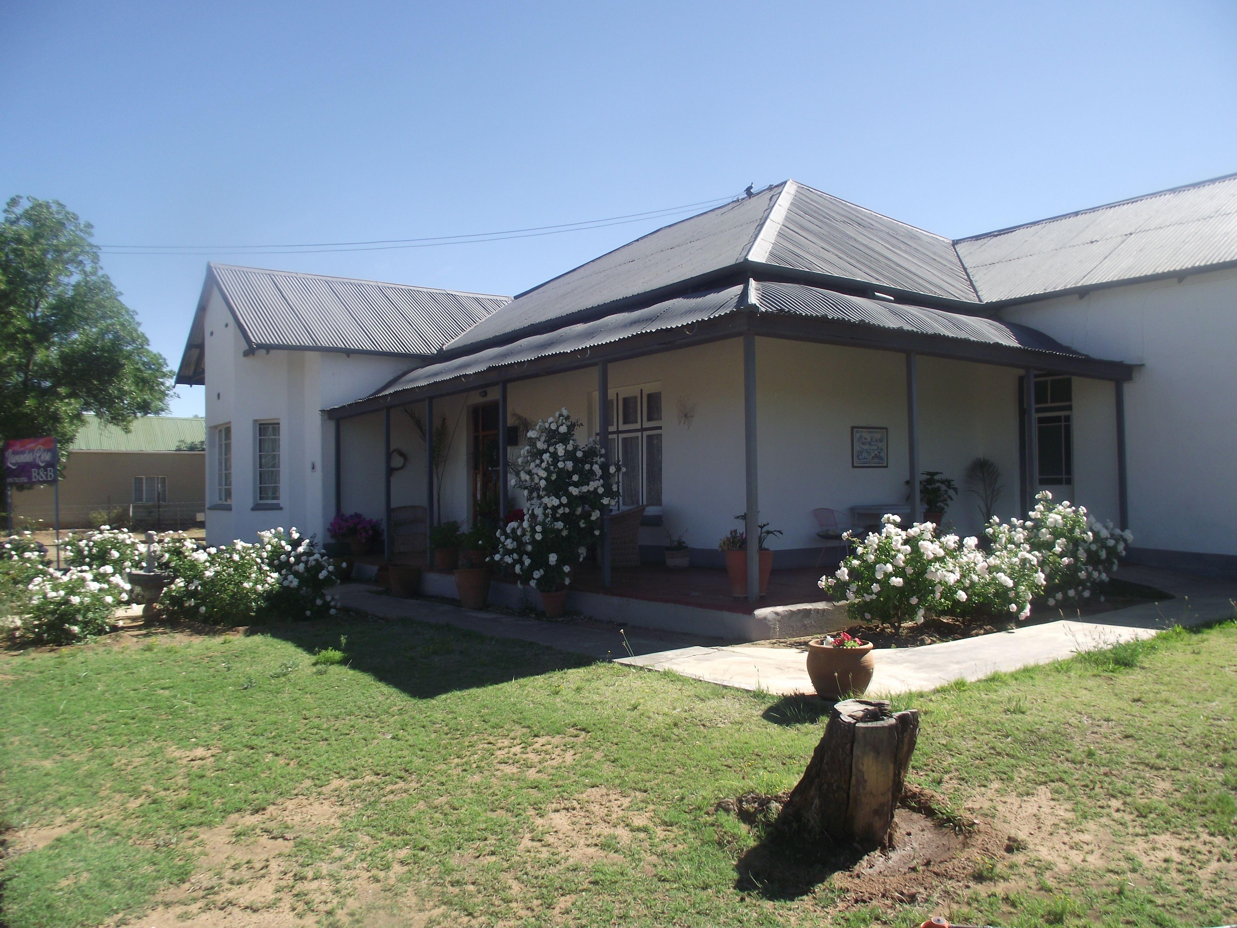 Lavender Rose | Bethulie Self-catering