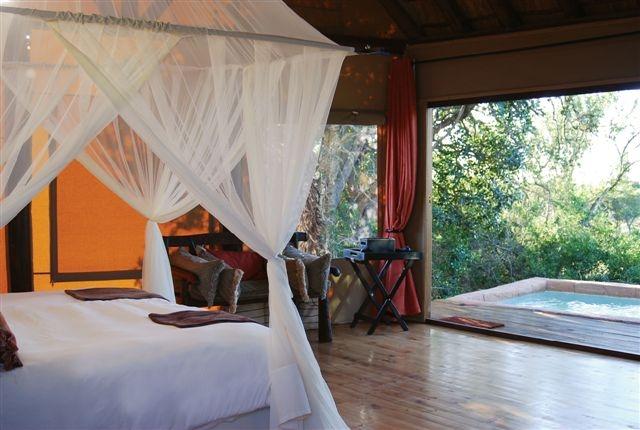 The Bush Lodge - Amakhala Game Reserve | Accommodation Alicedale