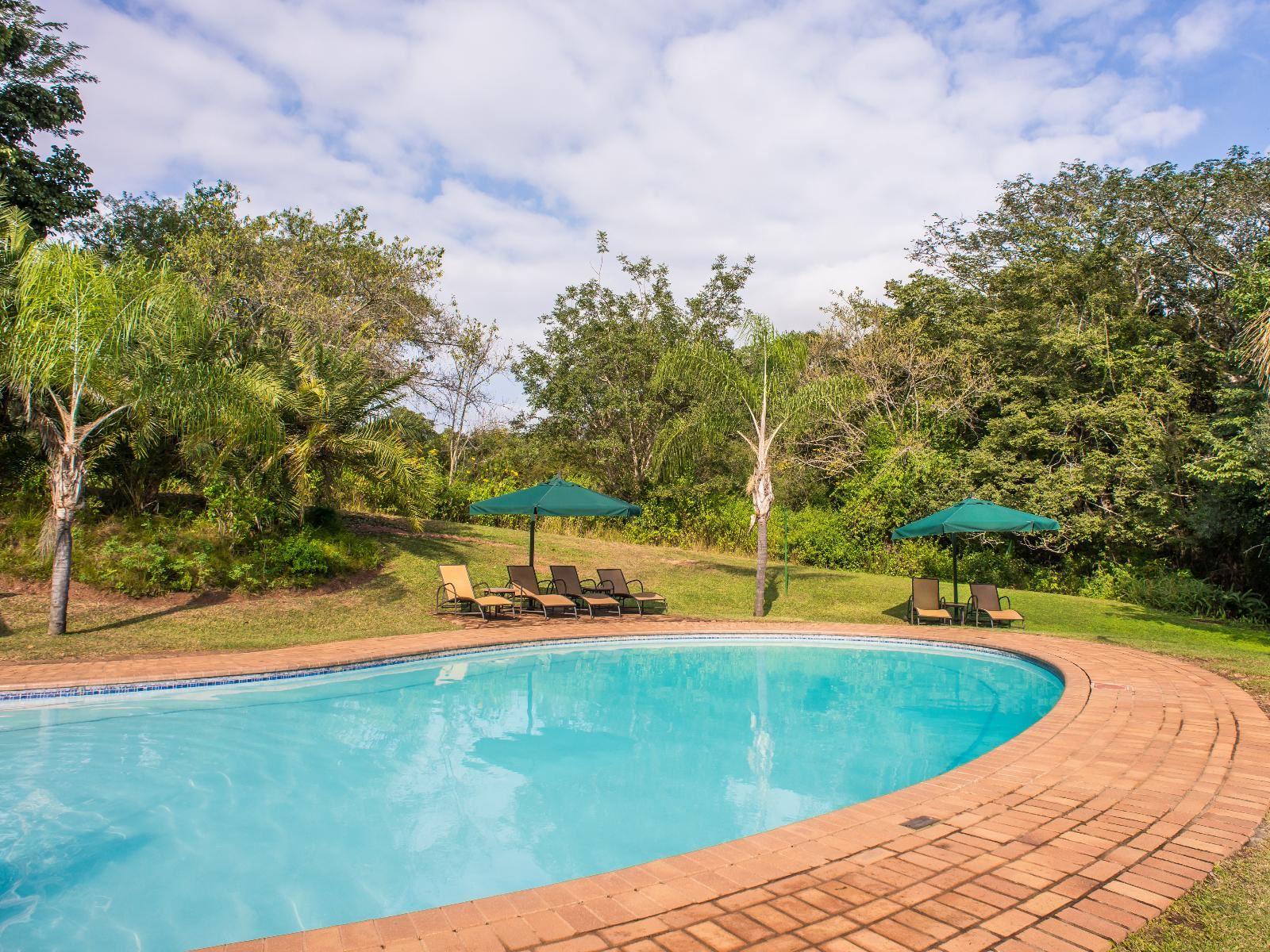 QV Africa Collection - Phala Lodge