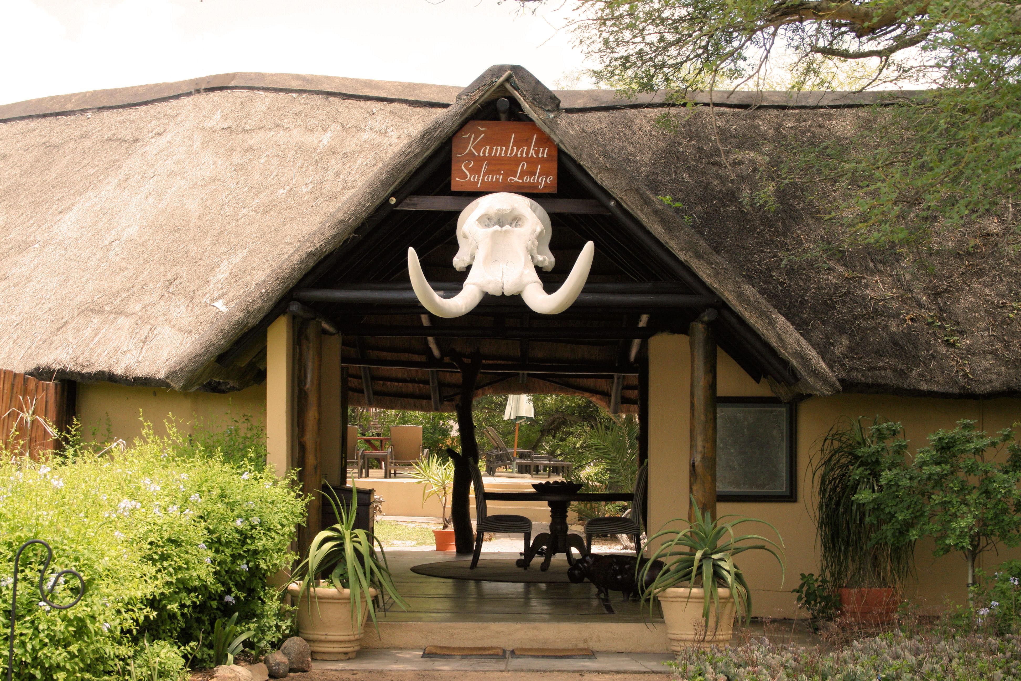 Kambaku Safari Lodge Timbavati | Accommodation Timbavati Reserve