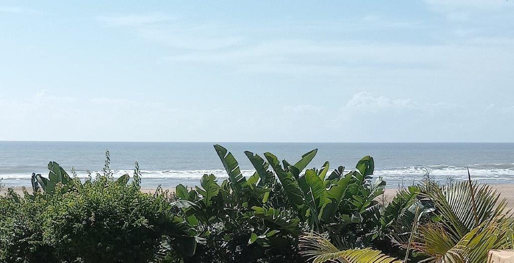 Ocean Breeze 23