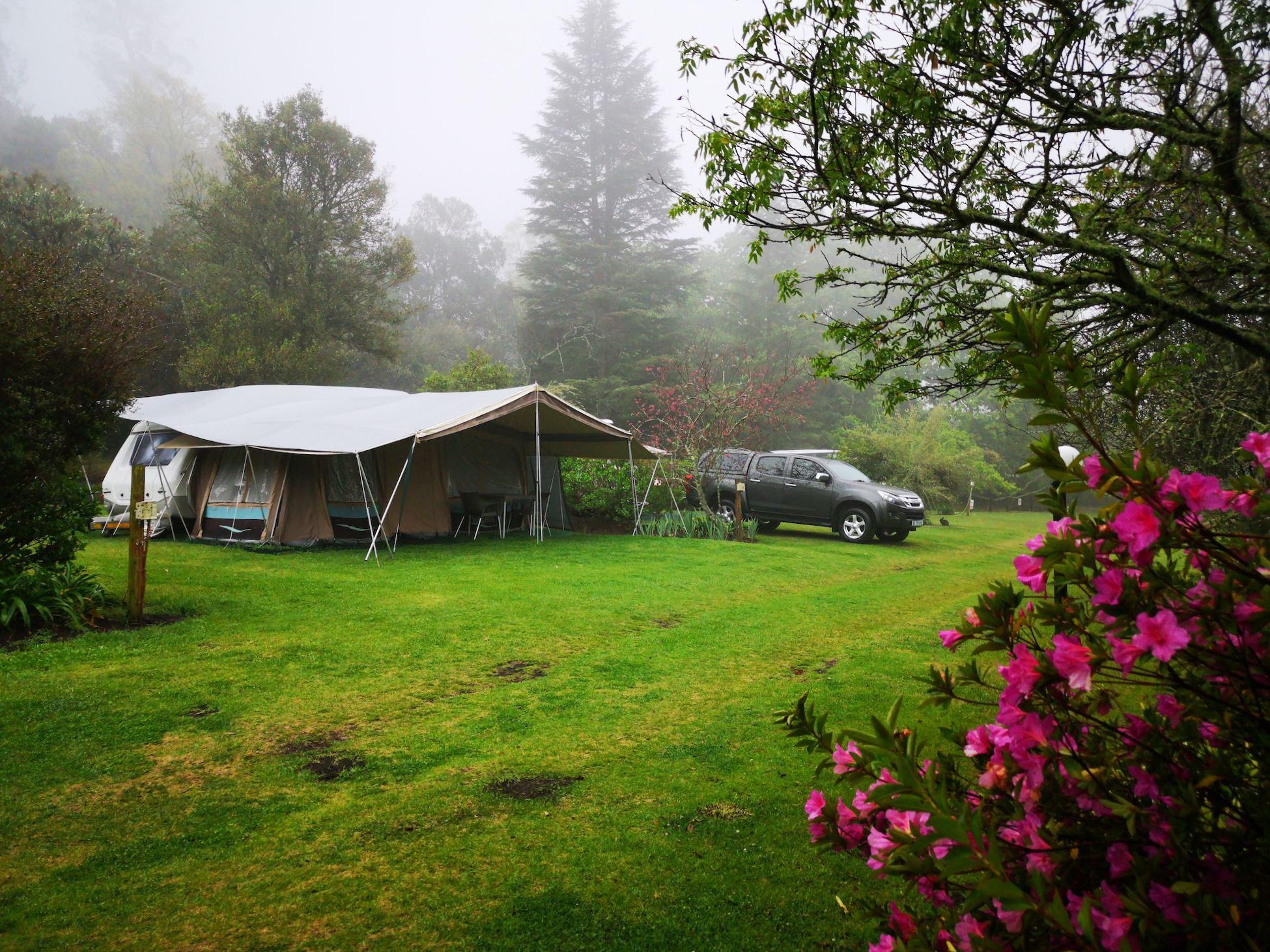 Mount Park Guest Farm