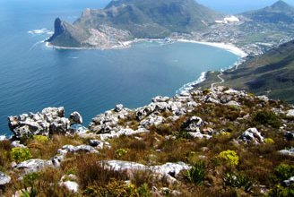 Things to do in Hout Bay