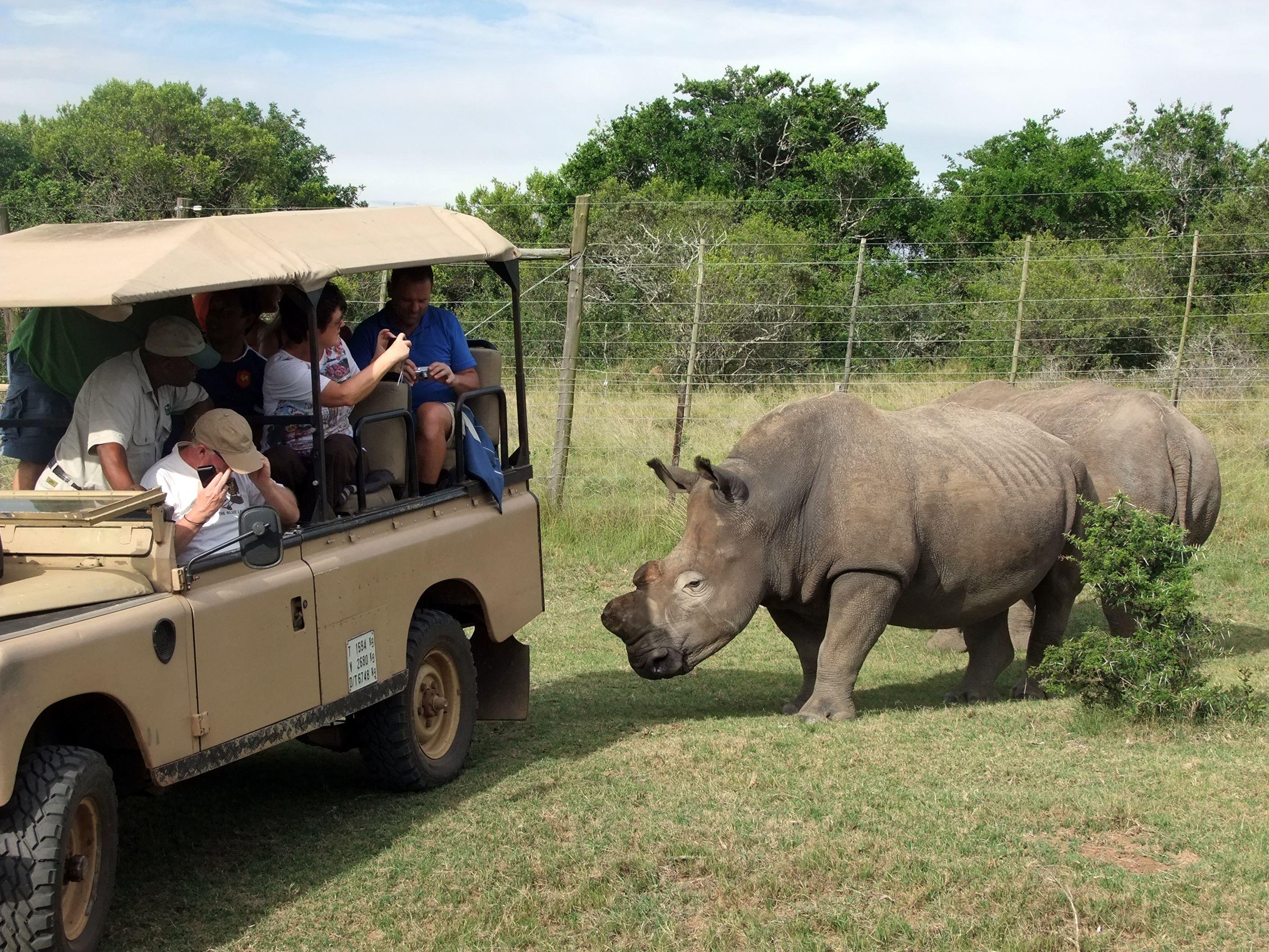 Addo Riverbank on Sundays -2 Night Safari Package | Accommodation Colchester