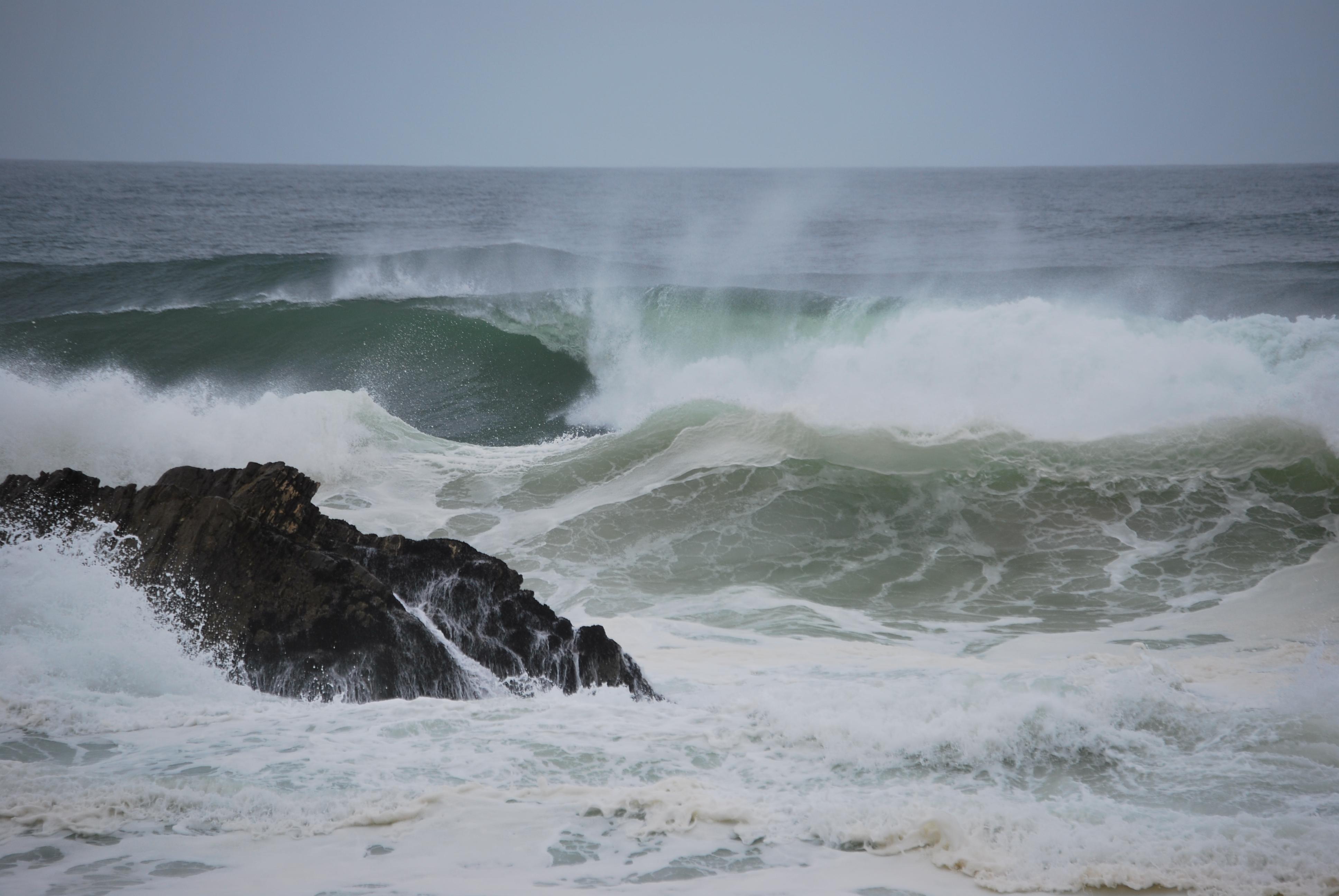 Punt in die Wind | Garden Route Specials