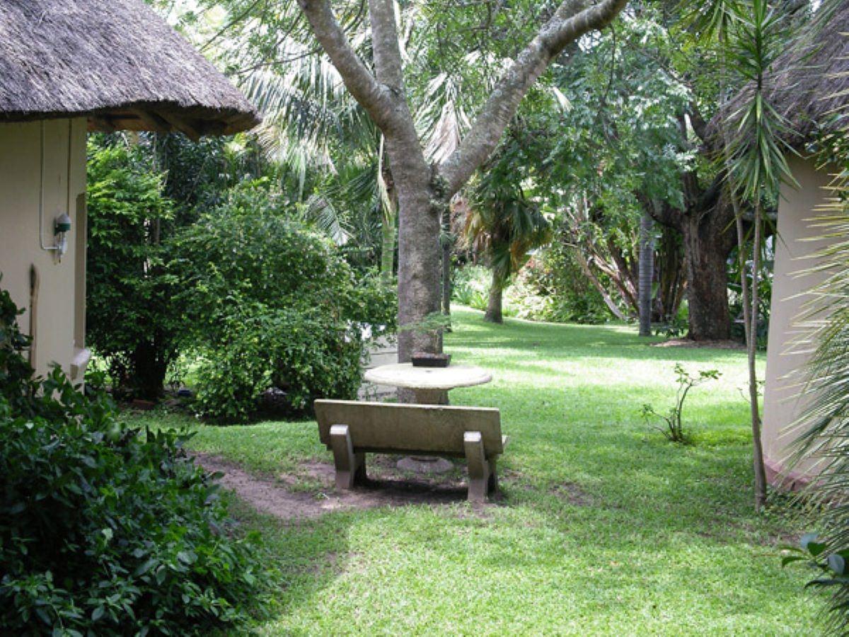 Crocodile Nest B&B | Book Your Dream Self-Catering Or Bed And Breakfast ...