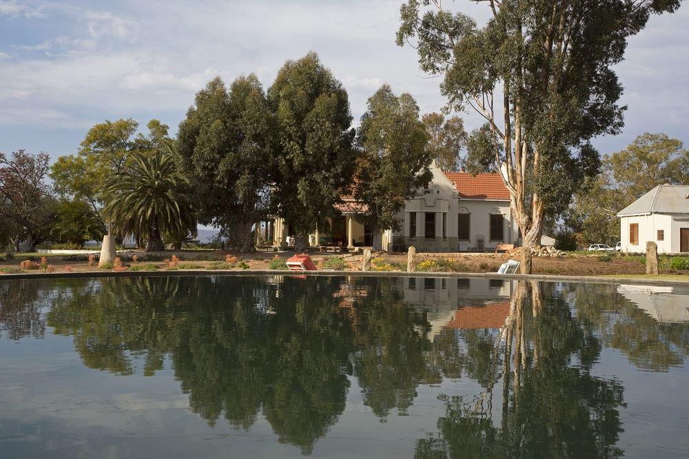 Rietfontein Ostrich Palace | Accommodation Oudtshoorn