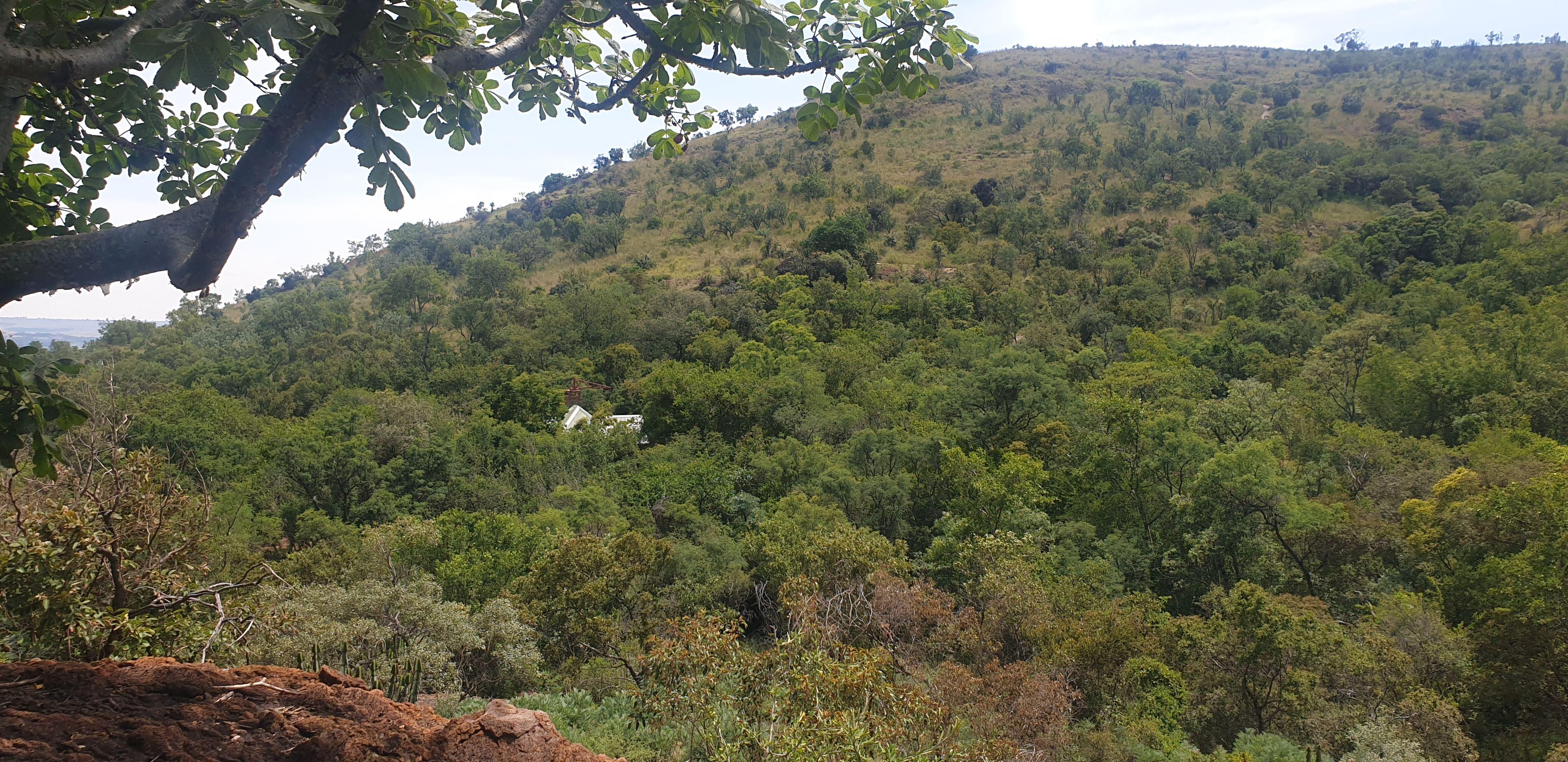 Stone Cottage on Exclusive Bush Farm