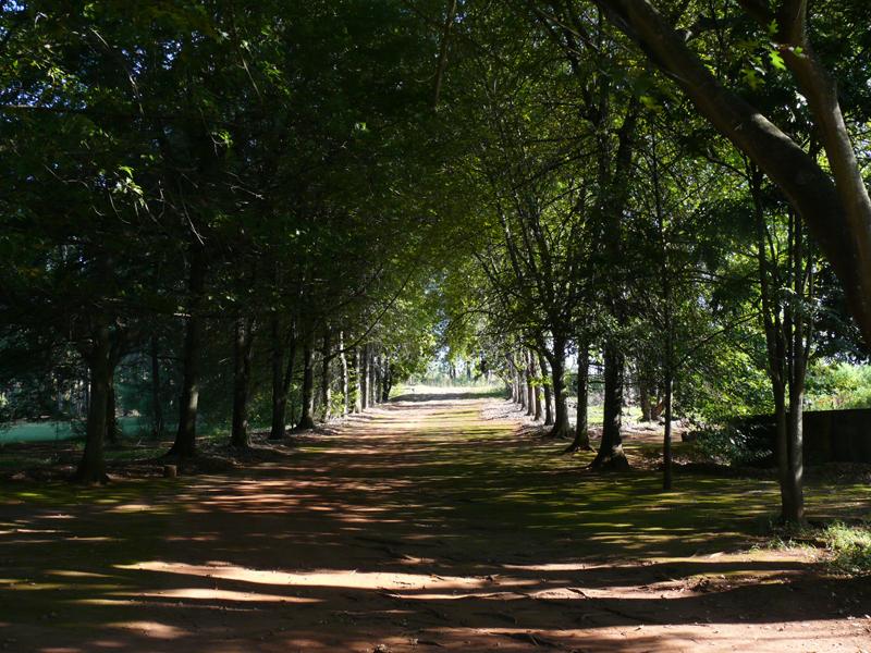 The Krantz Accommodation | Sabie Accommodation