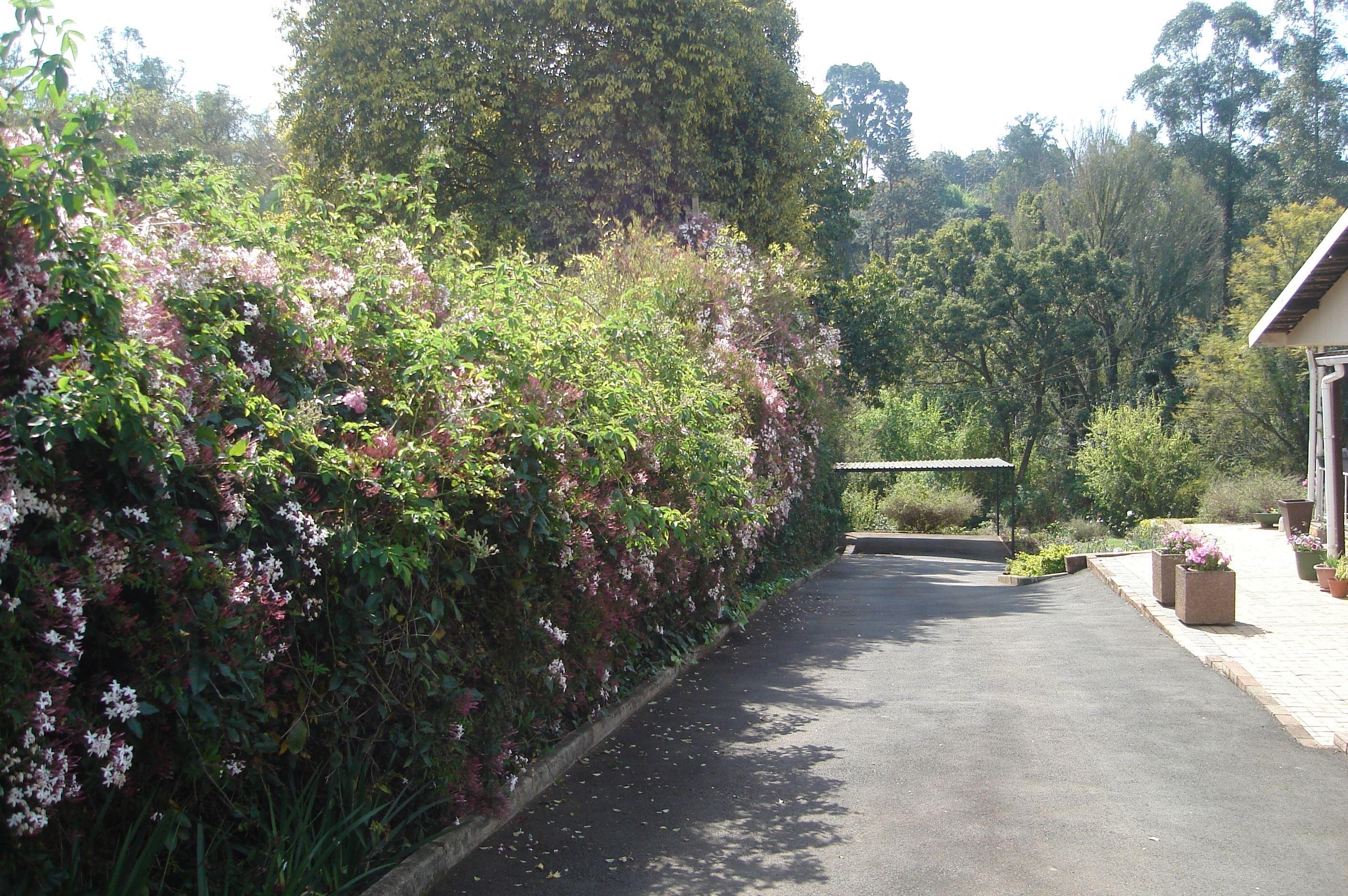 Taunton House Bed & Breakfast | Wembley Accommodation
