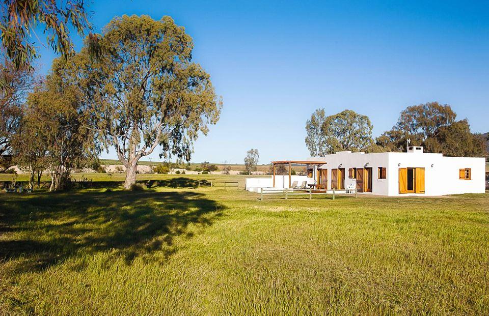 Denneboom Vineyards and Wildlife | Accommodation Paarl