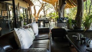 Ezulwini Game Lodges | Accommodation Hoedspruit