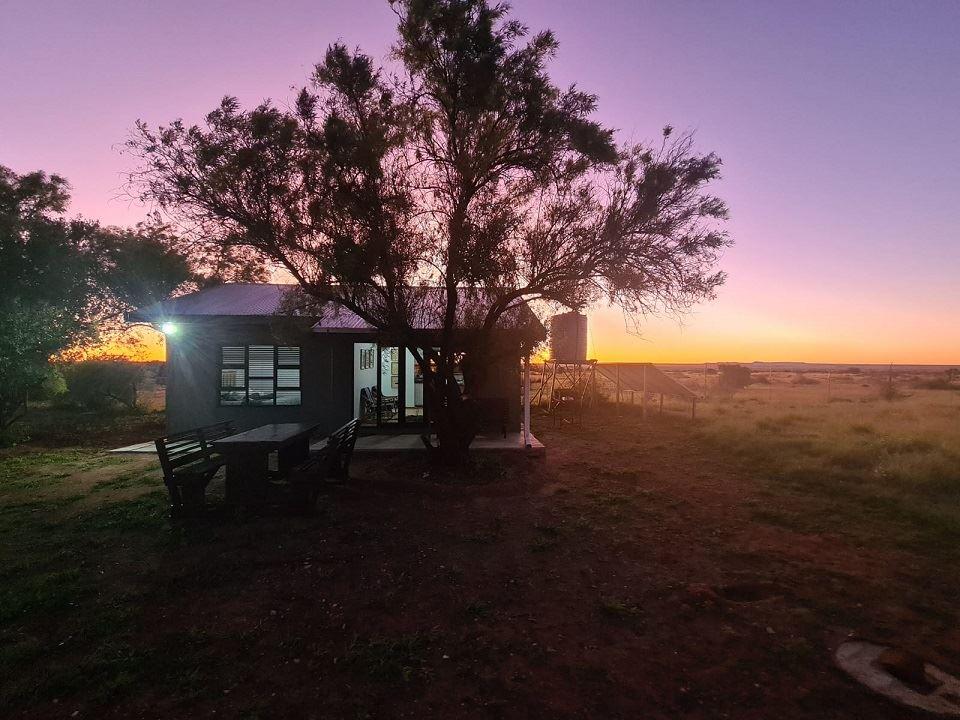 Witgatboom | Hopetown Accommodation