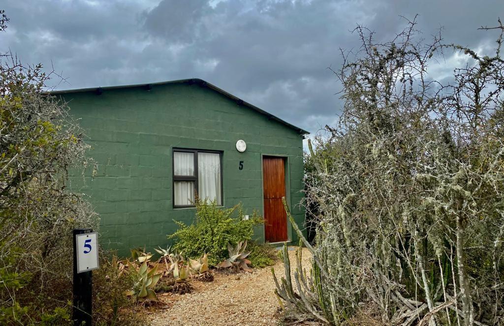 Kudu Ridge Game Lodge | Accommodation Addo