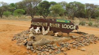Madikwe River Lodge by Dream Resorts | Accommodation Madikwe Game Reserve